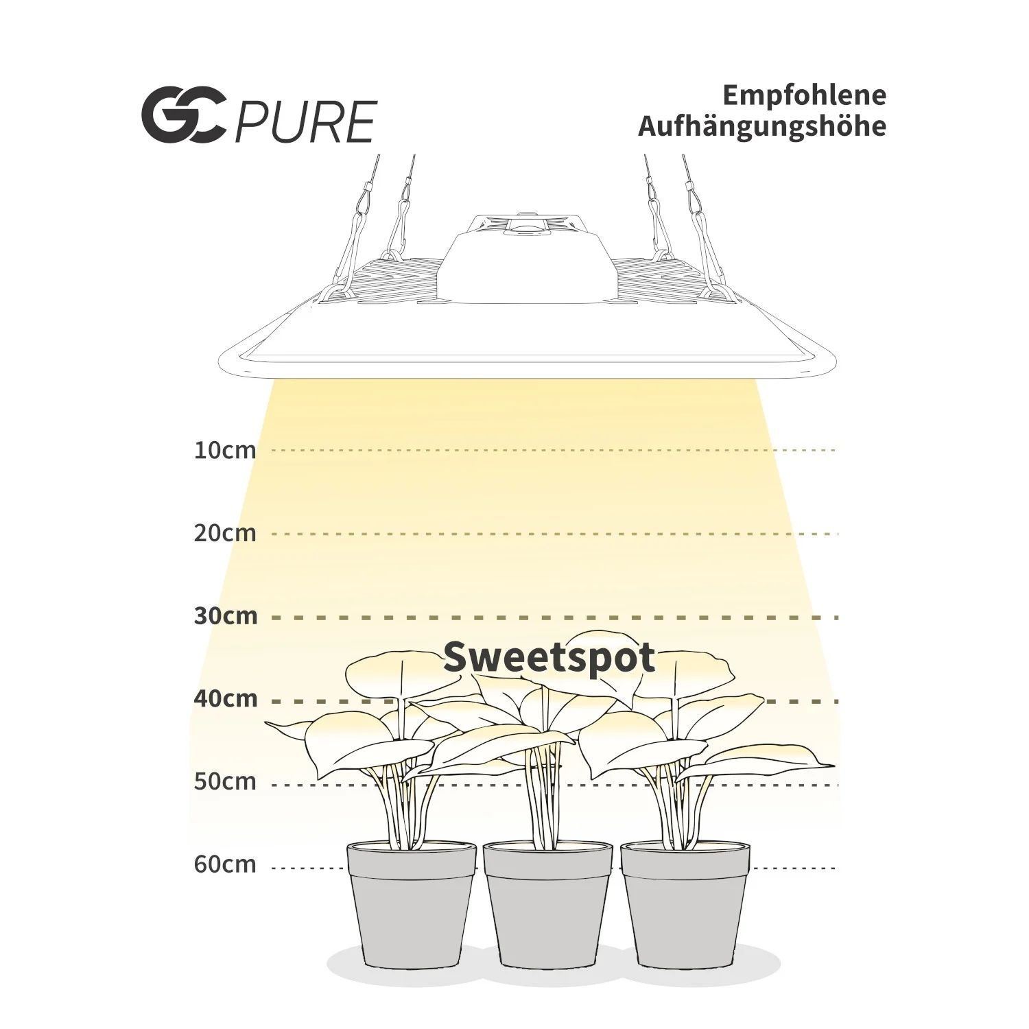 GC Pure 80w