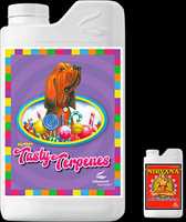 Tasty Terpenes 250ml